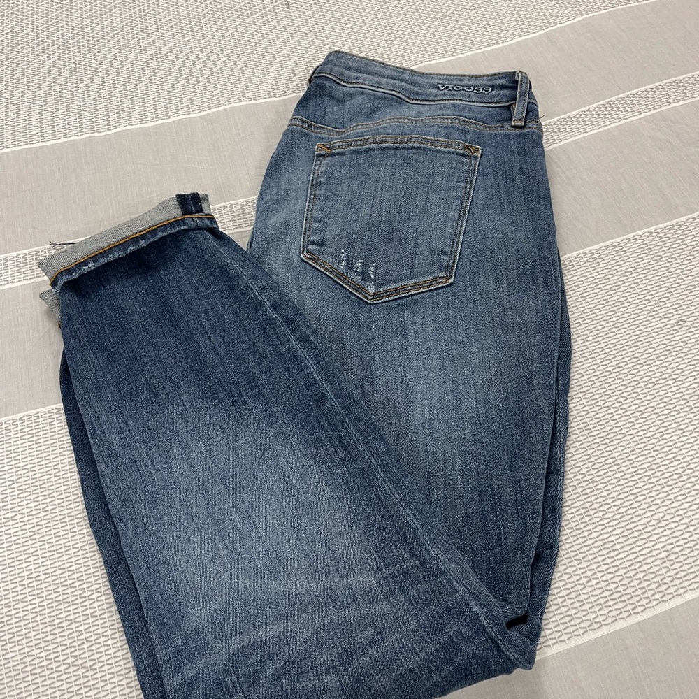 Vigoss Jagger brand distressed jeans